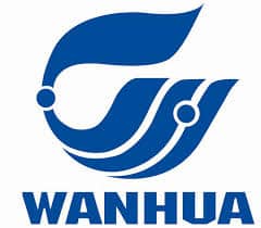 Wanefoam (Ванефом) 904 